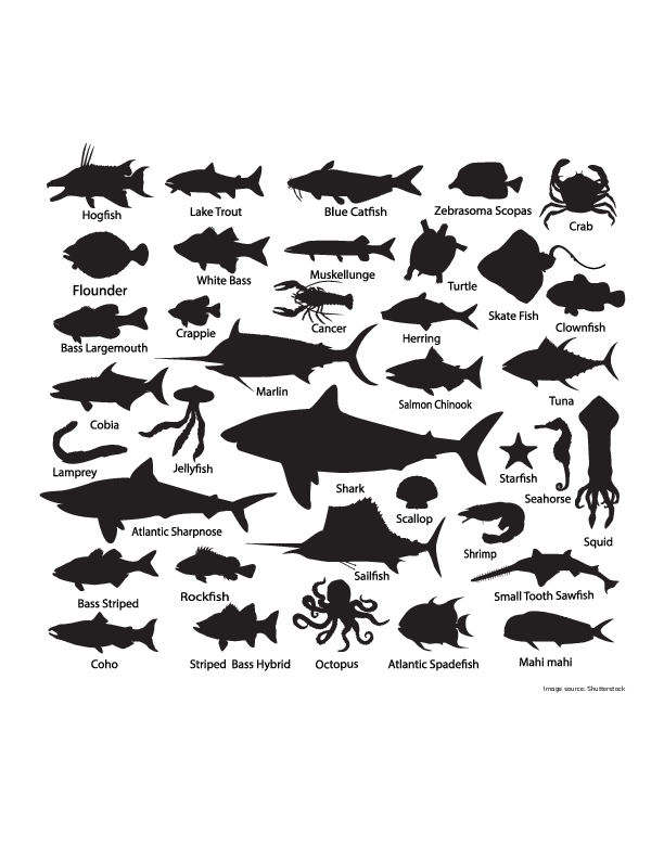 Ocean Animals Silhouettes