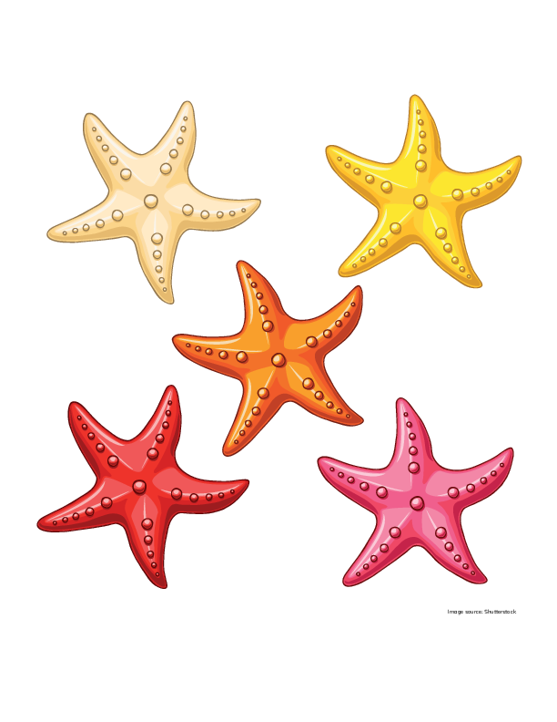 Five Little Starfish