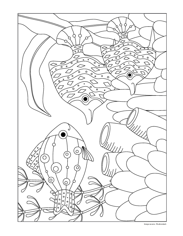 Aquarium Coloring Sheet